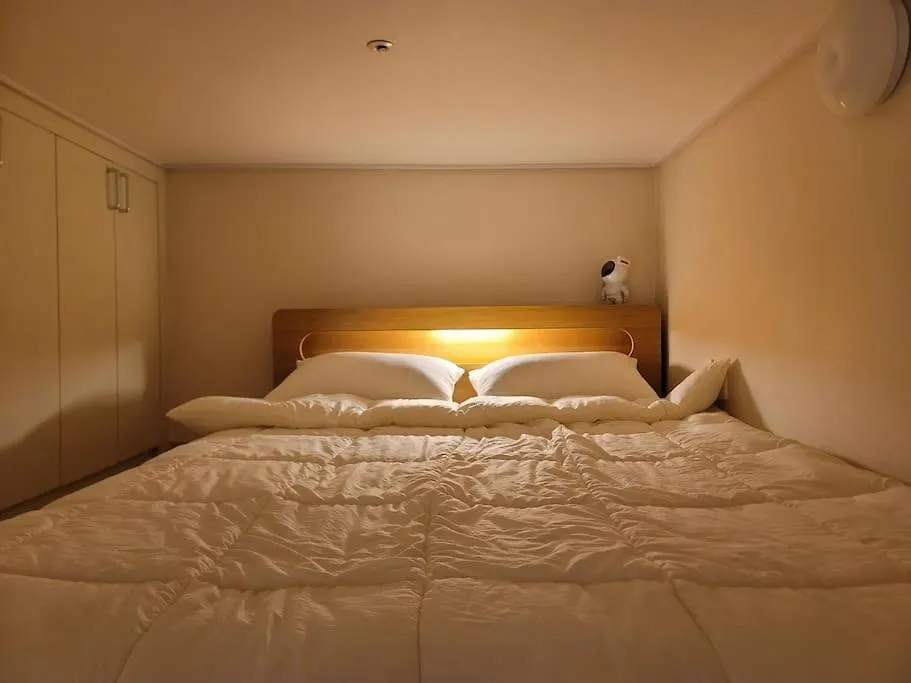 Comfortable Duplex House With City Lake View #Seokchonlakeview #Lotteworld Seoul South Korea